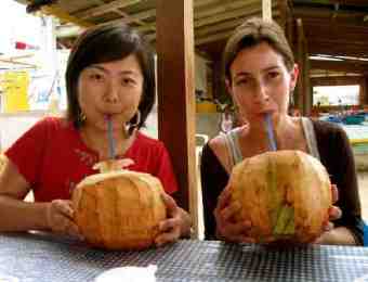 Detoxifying with Coconuts in Brazil Drink Fluids for Detoxification